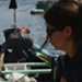 Marina Corricella - Procida island