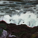 Seascape, the view from Clonakilty coast