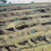 Field