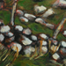 Cliffs, Ballinskelligs