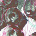 Apples I